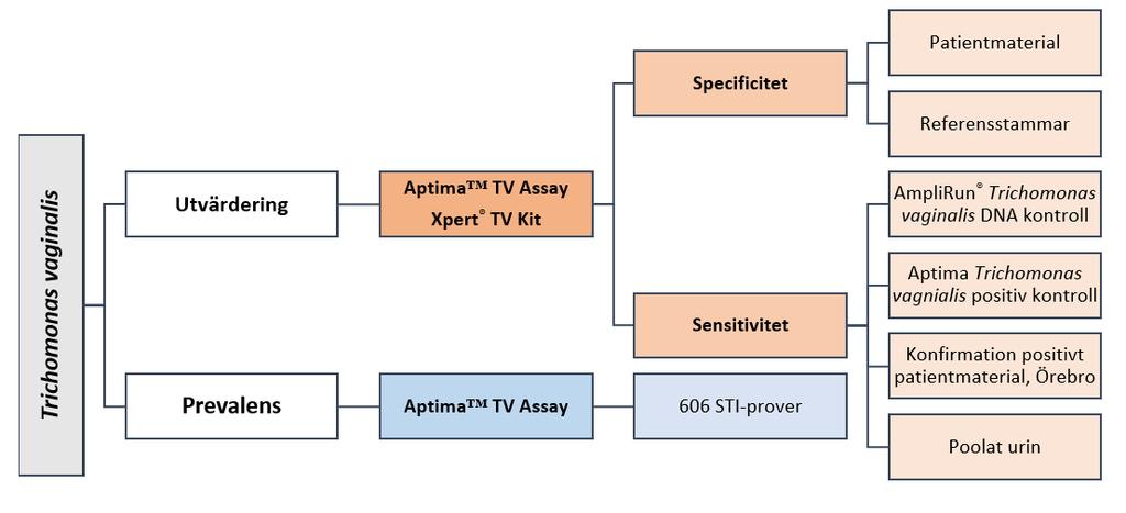 Material och metod Studiedesign I studien ingick en utvärdering av Aptima TV Assay (Hologic, Marlborough, USA) genom specificitet- och sensitivitetundersökning med jämförelse mot Xpert TV Kit