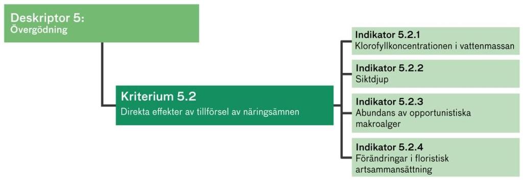 HMDs ramverk för bedömning av god miljöstatus Temaområde Bedömningsverktyg Vad som ska beaktas Oönskad algtillväxt leder inte till försämrad