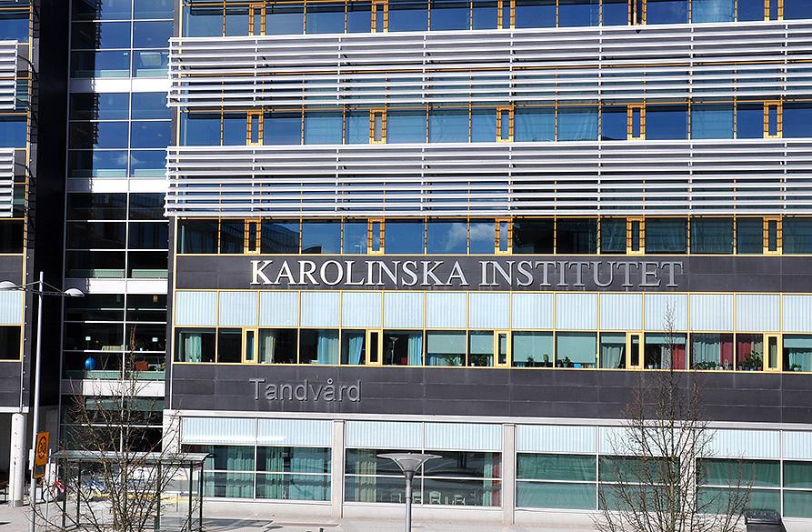SVERIGE VERKSAMHETEN I SVERIGE MARKNAD Byggkonjunkturen är stabil med nybyggnation av flerbostadshus som den dominerande drivkraften för tillväxt.