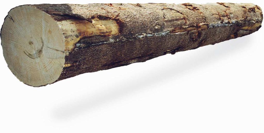 Klassning vid stockmätning 20 cm tolerans vid ena stockändan innebär att kriterierna Kvist Årsringsbredd Rakhet Övriga fel Ska bedömas med avseende på deras inverkan på sågcylindern.
