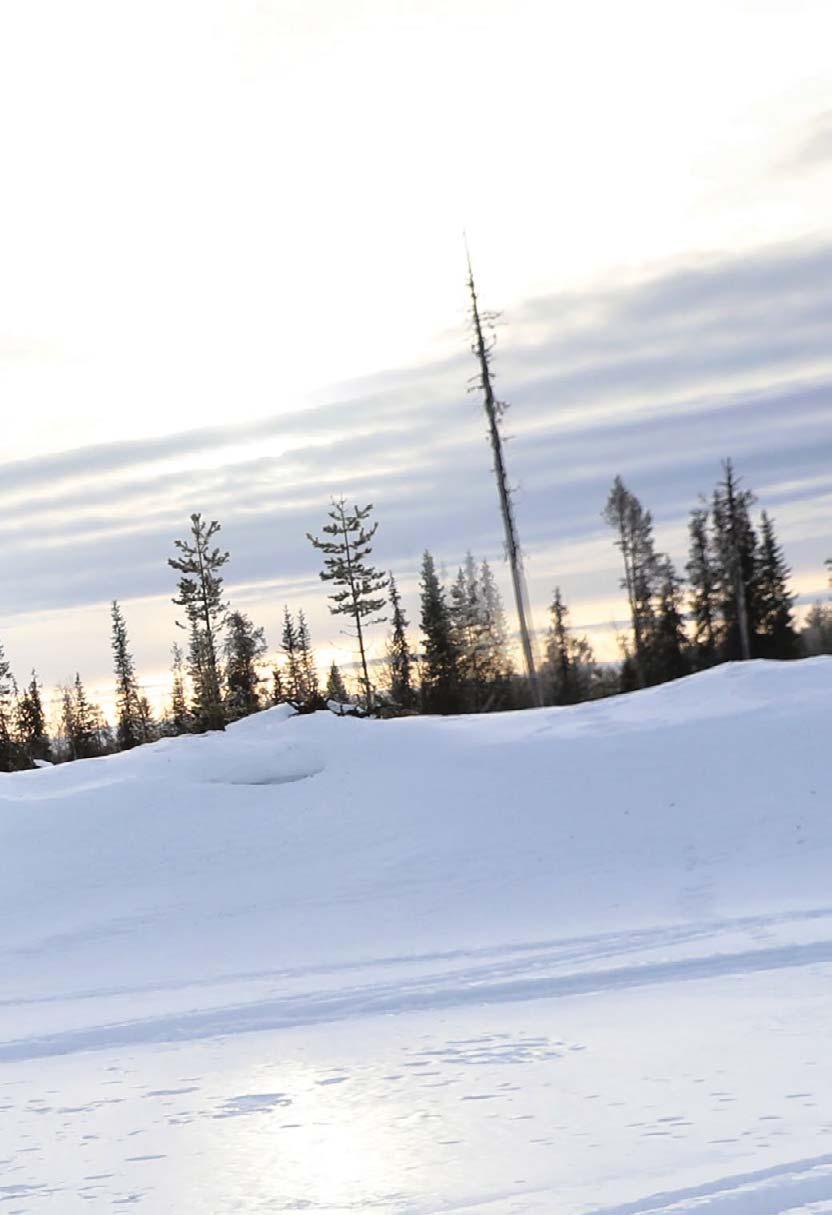 Förbättrad stötupptagningsförmåga tack vare längre fjädringsväg och högre markfrigång. PPS²-3500-BOGGI PPS²-3500 ger Xtrim RE en genuint sportig attityd.