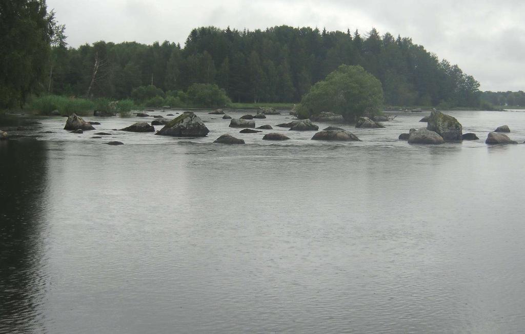 Färnebofjärdens högvattentoppar - kan de