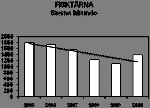 Fisktärna (Sterna hirundo) Efter fem säsonger med kontinuerlig minskning kom i år ett ganska rejält hack i den branta kurvan.