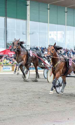 D.`s Hitman, Volstead och Spring Erom.