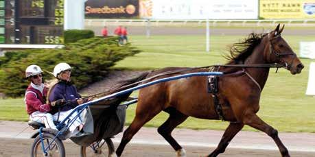 . s aviar - : 0-0-0, 0 : 0 0-0-0 0 Tot: 0-0-0 Ooh Yes I an e Yankee Glide Lurano G Å / -p / 0 p 0, - - p Uppf: Hälsa och Helhet i Kungsacka AB Lurano G Å / -k / 0 k 0,0 - - gdk Äg: Hälsa och Helhet i