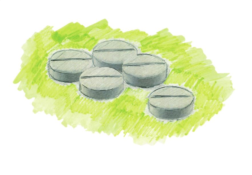 ادویه در طول تاریخ از از چندین روش تداوی با دارو استفاده شده است. امروزه برای شب ادراری داروهایی وجود دارد که بانسخه قابل دریافت است.