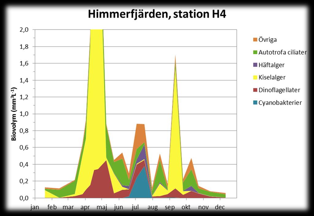 växtplanktongrupper vid station H4 212.