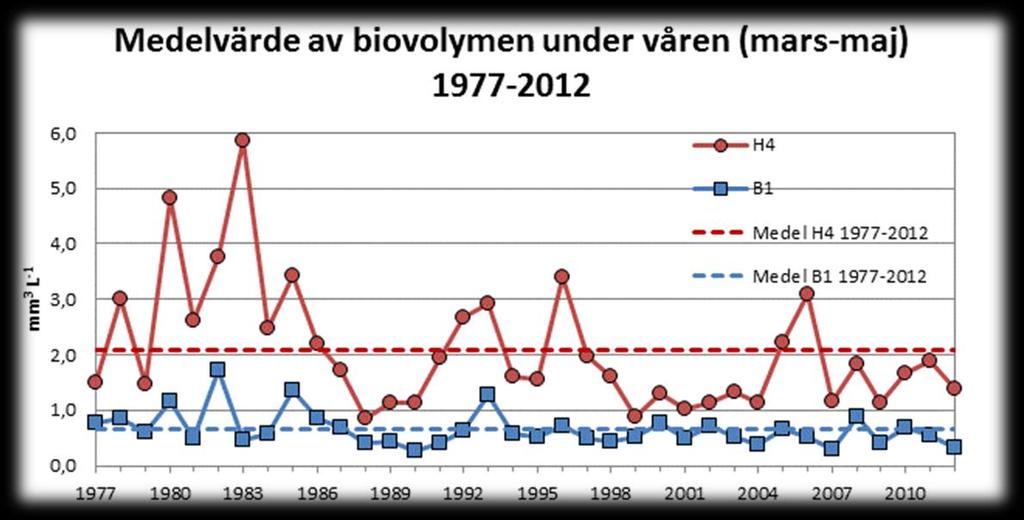 Figur 5.4. Medelbiovolym (mm 3 L -1 ) av växtplankton (>2 µm) under våren (mars-maj) 1977-212 vid station H4 i Himmerfjärden samt vid referensstationen B1.