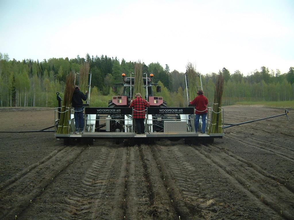 Plantering Text om Agro-bränsle osv Pris 2015 (REAB) 9