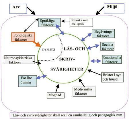 ligger i riskzonen att utveckla läs- och skrivsvårigheter och därmed få svårigheter att nå kunskapsmålen.