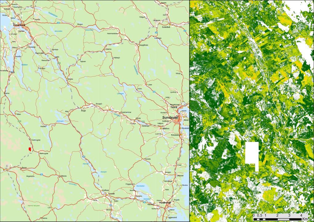 Bilaga 1. Avvikelse Identifierat fel i produkt som redovisat objekt inom höjdintervall 5-45 meter och med höjdangivelse (meter) i 6 klasser.