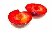 FRUKT & GRÖNT 2017-2018 SORTIMENT Stenfrukter Gemensamt för alla stenfrukter är ett saftigt fruktkött med en hård kärna i mitten.