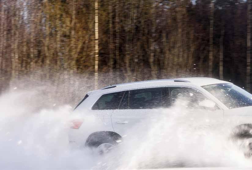 kdiakbjörn ch år 2012 km björnhannen Taquka till rsa. Vi trr att Taquka känner sig ensam, på Kdiak Island finns cirka 3 000 björnar av hans srt men i rsa är han ensam.