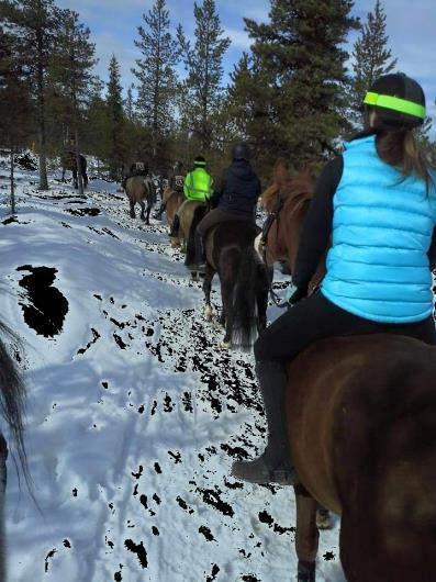 Iskalla Ryttare har i september varit medarrangörer på Distriktsmästerskapet i hoppning för både ponny och häst. Tävlingen hölls tillsammans med Kiruna Ridklubb på deras anläggning.