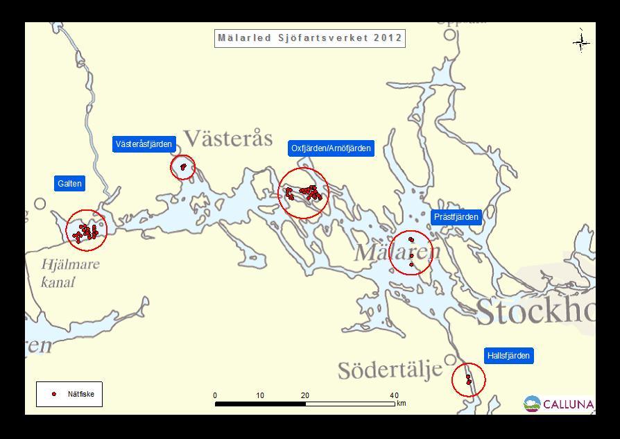 Beskrivning av områdena Vattenkvalitet Bottenfauna undersökningar Fisk provfiske Föroreningar i