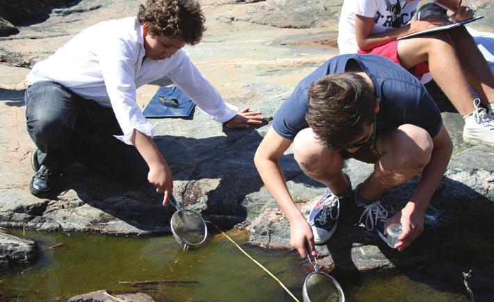 UTFÄRD I NATUREN En aktiv studieutfärd i naturen vid Östersjön. Genom olika aktiviteter undersöker man Östersjön. Det finns även möjlighet att laga mat på Trangia.