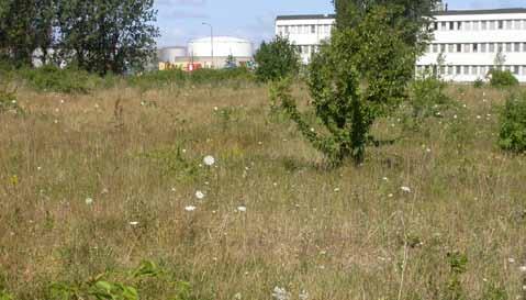 Södra delen är ett för Malmö