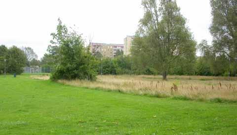 91 Nydalaparken Värdeklass: P Storlek: 3,3 ha Ägare: Malmö kommun Biotoptyp: park med