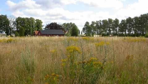 139 Sivåker gård, ruderat-/ängsmark Värdeklass: 2 Storlek: 1,6 ha Ägare: annan Biotoptyp: ruderatmark,