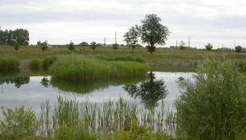 157 Gottorp, mindre damm Värdeklass: 2 Storlek: 0,4 ha Ägare: