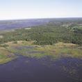 Gullspångslaxen tillbringar hela livet i sötvatten och motsvarande levnadsmönster finns endast hos ett fåtal laxstammar runt om i världen.