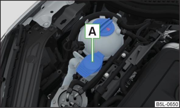 Motorrumsöversikt 5 6 Bromsvätskebehållare 203 Batteri (under en kåpa) 204 Observera Placeringen i motorrummet är i stort sett identisk på alla bensin- och dieselmotorer. Kylfläkt på sidan 196.