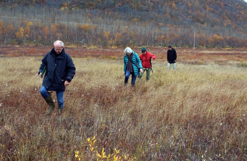 Vi vill tacka Folke Söderfalk och Åke Jönsson, för visning av mätplatserna och givande diskussioner kring mätningarna på dessa