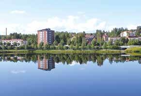 BOLAGEN Kommunens holdingbolag (Lycksele Stadshus AB) har lämnat ägardirektiv till de kommunalt ägda bolagen.
