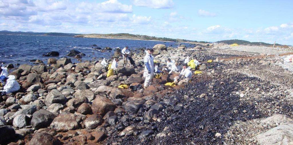 Mycket olja slog på stranden och på grund av högvatten och hårt väder blåste oljan högt upp på land (Figur 13).