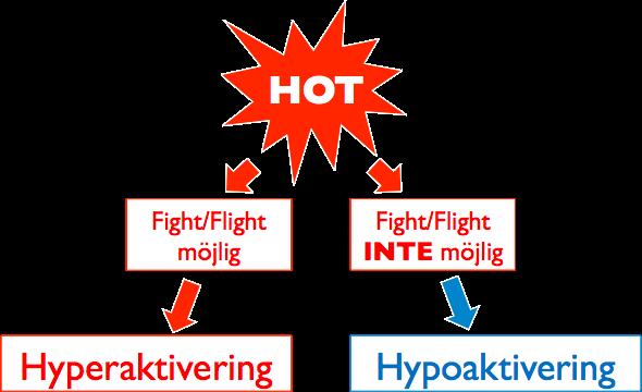 Flyktingar har sämre psykisk hälsa jämfört med normalpopulationen.