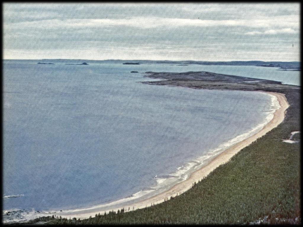NYA OMRÅDEN En del av de norska vikingarna styrde färden rakt västerut (till och med lite nordväst) och hamnade på det sättet på Island.