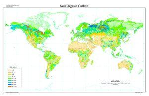 Organiskt kol i världens jordar inklusive
