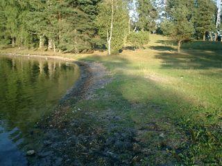 To day land continues to rise 3 mm a year in this part of central Sweden and it is possible