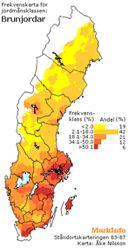 Brown soils is result of a more strong reverse process