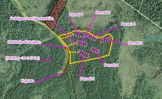 Figur 4. Beståndskarta för gallringen i block 2. Parcellerna är markerade med siffror. Figure 4. Stand map for the thinning in block 2. The study units are marked with numbers. Figur 5.