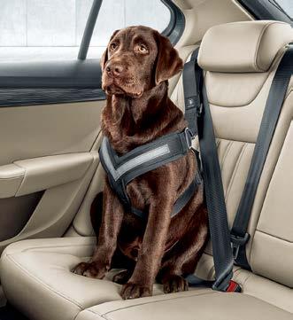 ŠKODA Originaltillbehör, som kan öka din bils säkerhet, komfort och charm, är den bästa lösningen.