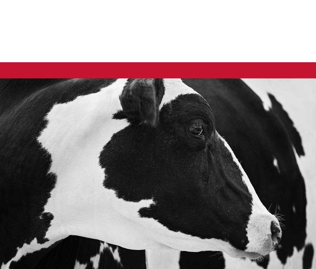 Semex Finland