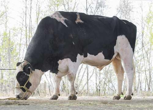 Impression MONUMENT IMPRESSION 0200HO00560 SOCRATES x POTTER x DURHAM VELVET-VIEW-KJ SOCRATES RIVER-GORGE JUDY VG-85-2YR-USA KEYSTONE POTTER DERONDA DURHAM JESSIE