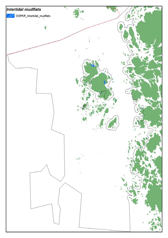 Figur 7. Utbredning av OSPAR habitatet Intertidal mudflats. 3.
