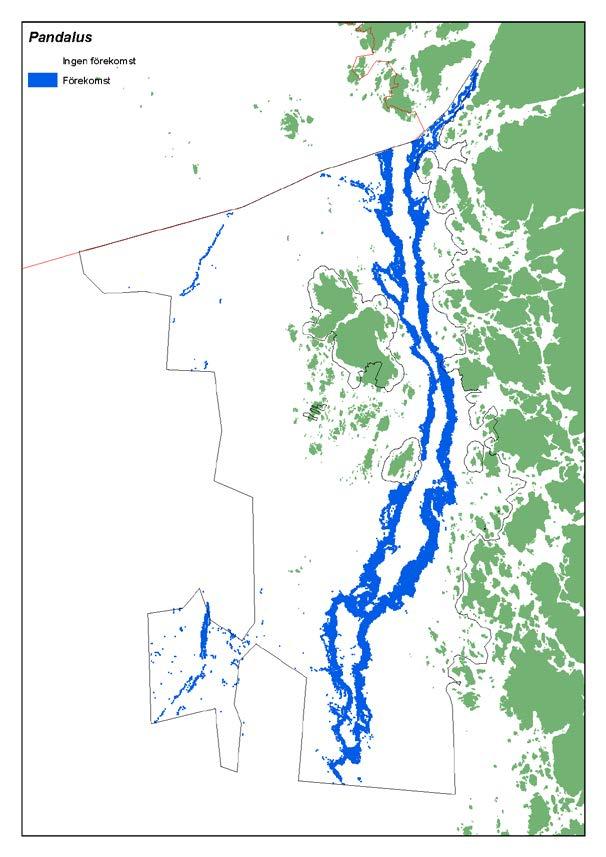 Modellerna som utnyttjats för att prediktera förekomst av Pandalus i Kosterhavets nationalpark har ett AUC-värde på 0,83 och en accuracy på 0,90.