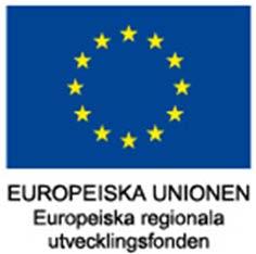 Projektet Långsiktigt mål: Bidra till att uppnå 2030-målen genom att erbjuda tunga fordon, sjöfart och industri ett förnybart drivmedelsalternativ.