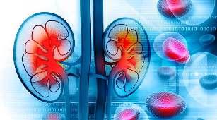nists with the exception of liraglutide, and the SGLT2 inhibitors. he latter, including empaglilozin, have required dose adjustment in patients with diabetic kidney disease.