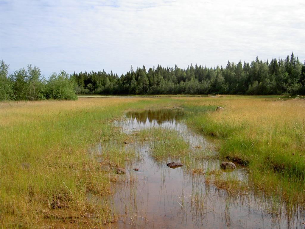 Skellefteå Skyddsstatus: Natura 2000: Särskilt