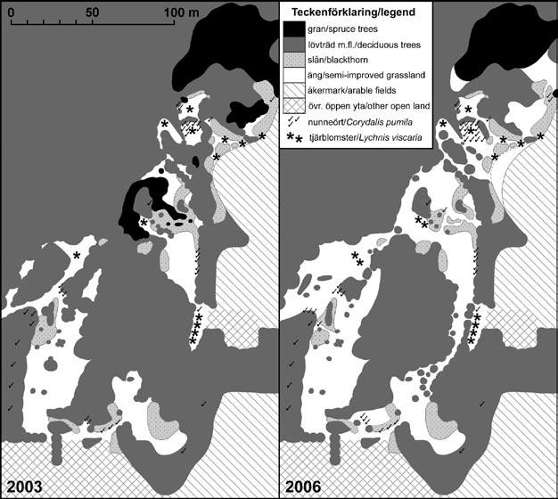 Anders Brattström m. fl. Ent. Tidskr. 128 (2007) Figur 4. Viktiga habitatstrukturer på lokal III före (2003) och efter (2006) det att restaureringsinsatser genomförts.