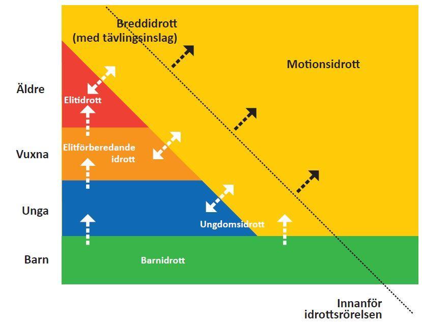 Regionerna har den viktiga uppgiften att stödja föreningarna i respektive region och därmed främja den regionala utvecklingen av skidskyttesporten.