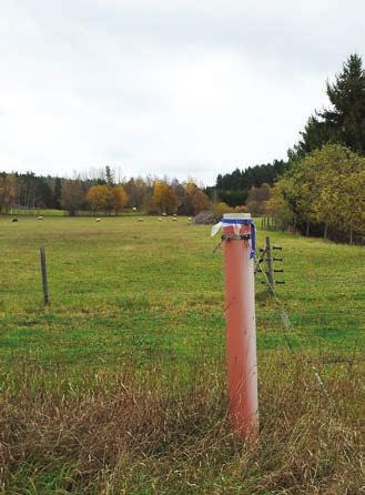 En annan del sker genom att gaser och partiklar fastnar i trädkronorna, vilket kallas torrdeposition.