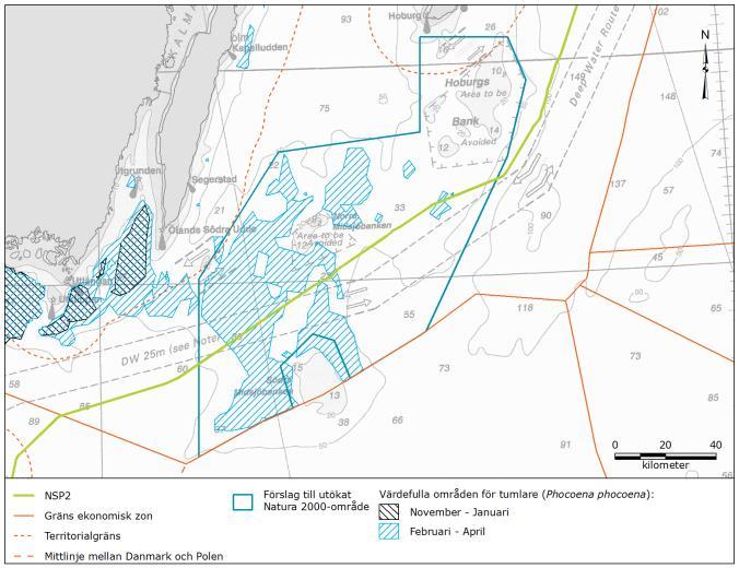 TUMLARE Östersjöpopulationen - ca 500 individer. SAMBAH-projektet har identifierat områden av särskild betydelse för tumlare i Östersjön.