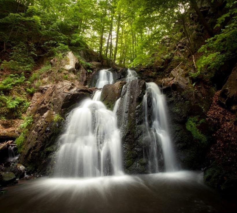 Forsakar Följ med på en vandring till Skånes finaste vattenfall.