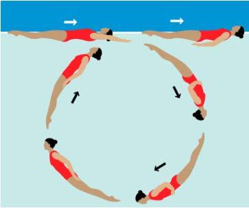 Rörelsen fortsätter runt tills kroppen sträck vid vattenytan igen och avslutar i Sträckt ryggläge.