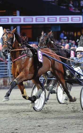 Gävle, Hagmyren, Jägersro, Solvalla,Vaggeryd,Visby Bergsåker, Halmstad, Åmål, Årjäng, Örebro Jägersro, Romme, Solänget Solvalla Bollnäs, Skellefteå Åby (V75) 7 måndag 8 tisdag 9 onsdag 10 torsdag 11